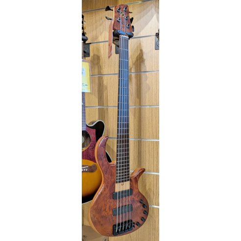ELRICK EBB05 GOLD EVOLUTION