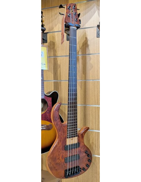 ELRICK EBB05 GOLD EVOLUTION