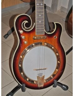 GOLD TONE EBM 5 ELECTRIC BANJO 2
