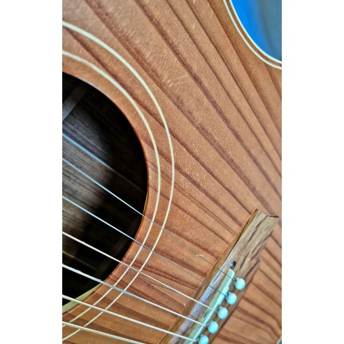 COLE CLARK AN2EC-RDBL ANGEL 2 REDWOOD BLACKWOOD