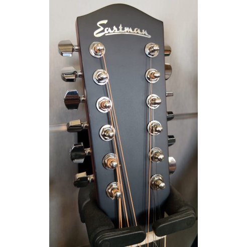 EASTMAN AC330E-12-SB LR BAGGS + CASE