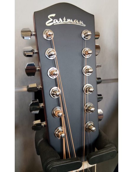 EASTMAN AC330E-12-SB LR BAGGS + CASE