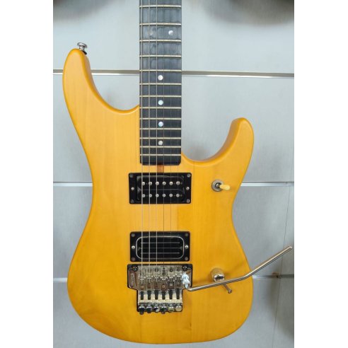 WASHBURN N2 MODIFICATA