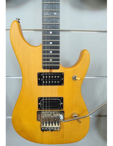 WASHBURN N2 MODIFICATA
