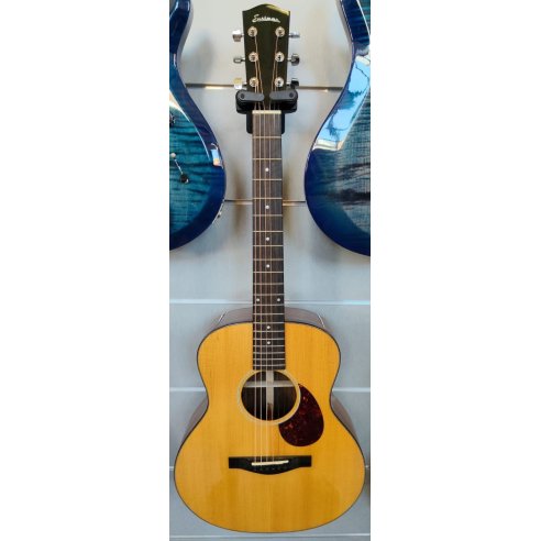 EASTMAN ACTG2E DLX + GIGBAG