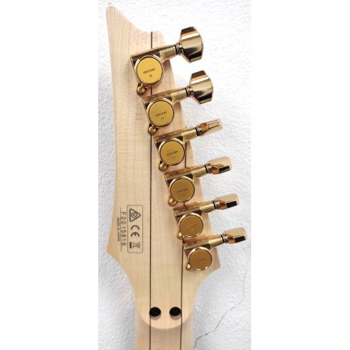 IBANEZ PIA3761-SDG