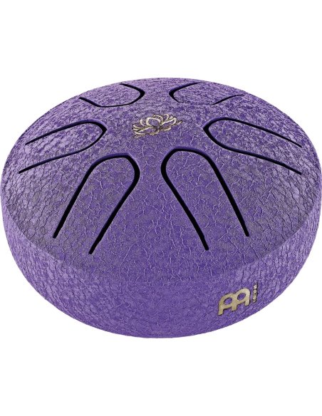 SONIC ENERGY PSTD1PLF
