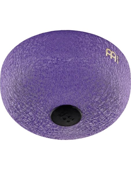 SONIC ENERGY PSTD1PLF