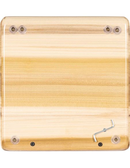 MEINL AEFLIH