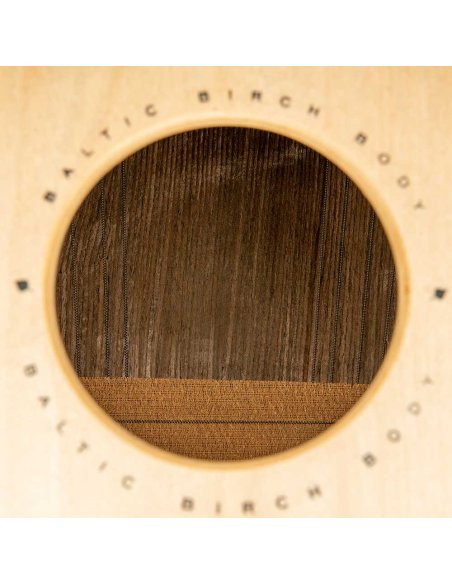 MEINL WCP100MH