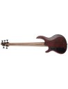 CORT ARTISAN B5 ELEMENT OPBR