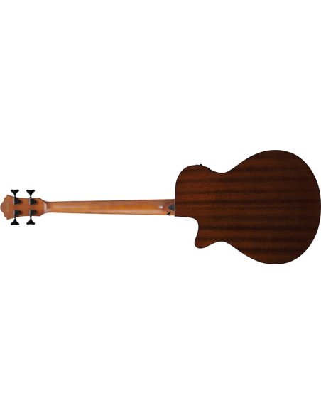 IBANEZ AEGB24FE-MHS