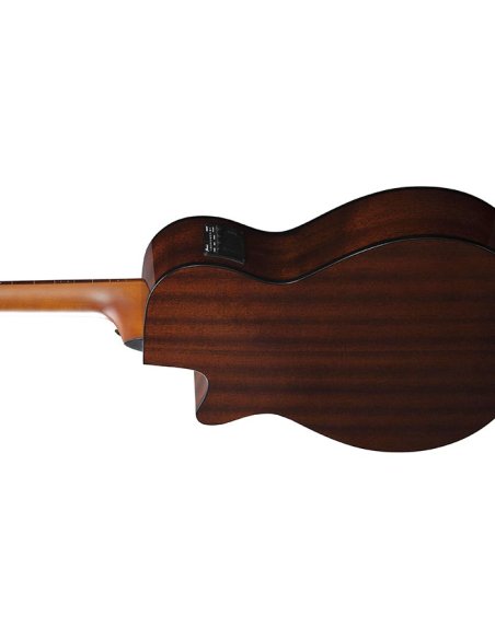 IBANEZ AEGB24FE-MHS