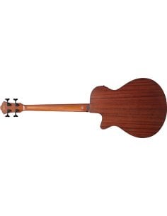 IBANEZ AEGB30E-NTG 2