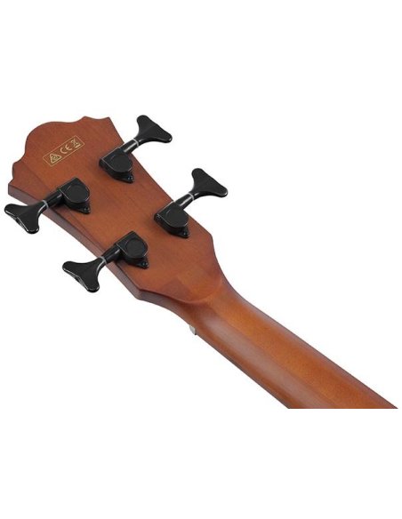 IBANEZ AEGB30E-NTG
