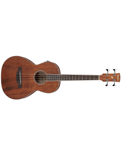 IBANEZ PNB14E-OPN