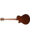 IBANEZ AEGB25E-TKH