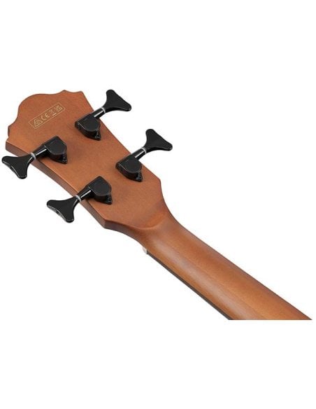 IBANEZ AEGB25E-TKH