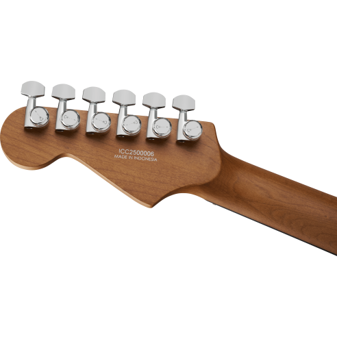 CHARVEL PRO MOD PLUS DK24 E HH  2PTE RAVEN BLACK