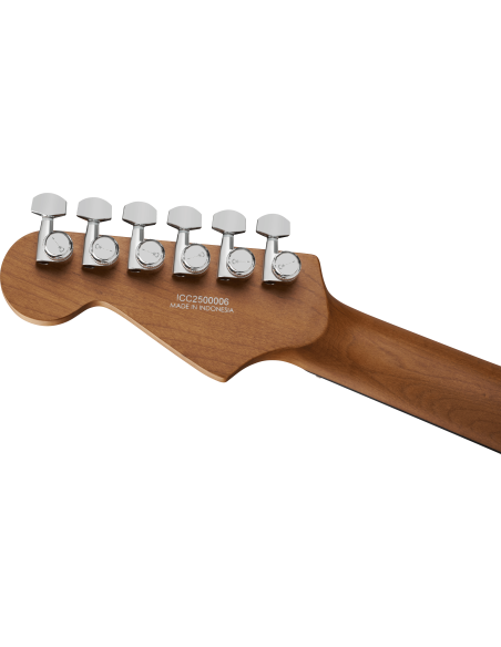 CHARVEL PRO MOD PLUS DK24 E HH  2PTE RAVEN BLACK