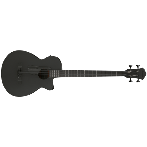 IBANEZ AEGB420-BOT