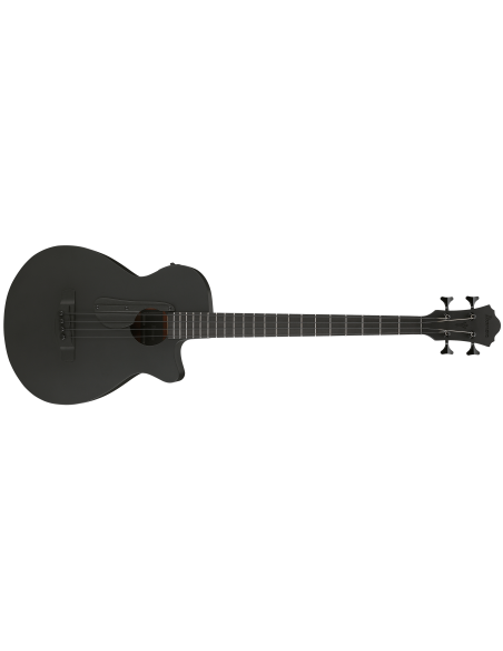 IBANEZ AEGB420-BOT
