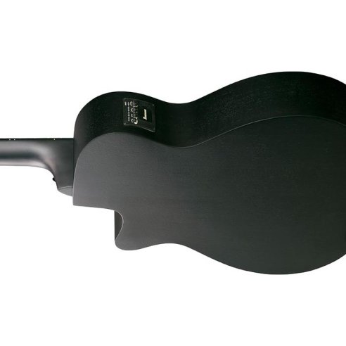 IBANEZ AEGB420-BOT