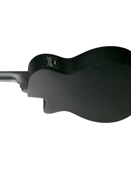 IBANEZ AEGB420-BOT