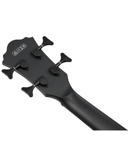 IBANEZ AEGB420-BOT
