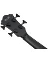 IBANEZ AEGB420-BOT