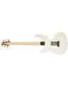 PRS SILVER SKY MAPLE FROST