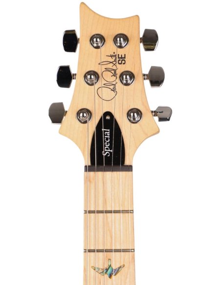 PRS SE SWAMP ASH SPECIAL 22 VINTAGE SUNBURST