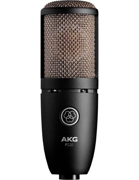 AKG P220