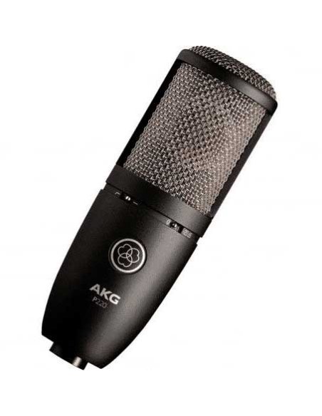 AKG P220