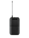 SHURE BLX14 SM31 M17