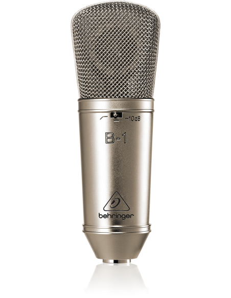 BEHRINGER B1