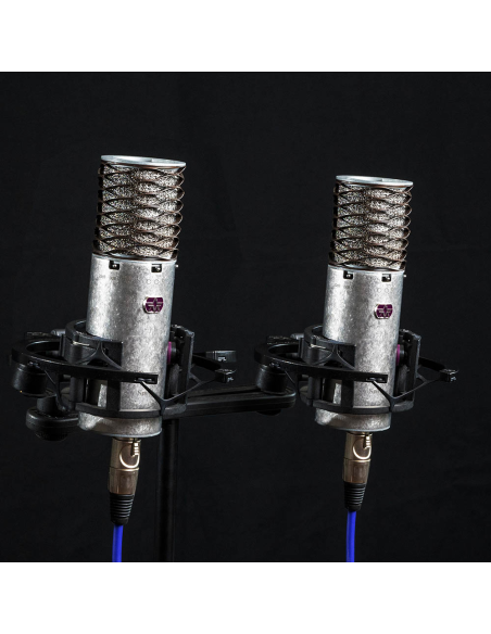 ASTON SPIRIT STEREO PAIR