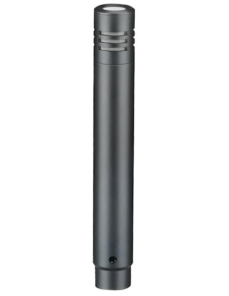 ACEMIC C-300 CONDENSER MIC