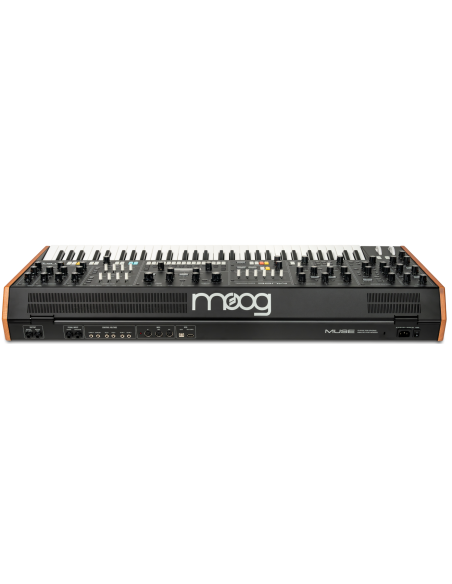 MOOG MUSE