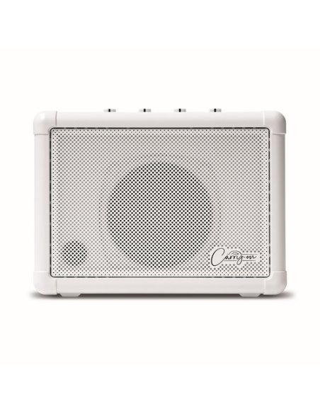 CARRY ON CO-SPEAKER - MINI SPEAKER