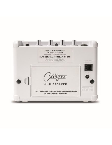 CARRY ON CO-SPEAKER - MINI SPEAKER