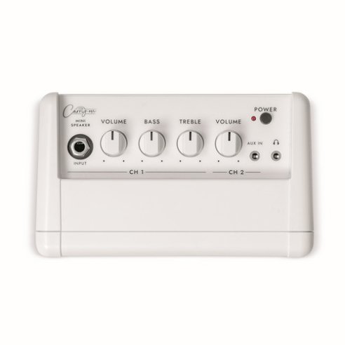 CARRY ON CO-SPEAKER - MINI SPEAKER