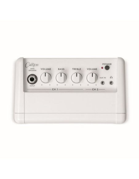 CARRY ON CO-SPEAKER - MINI SPEAKER