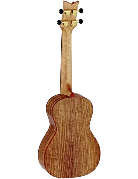 ORTEGA RUACA-CC