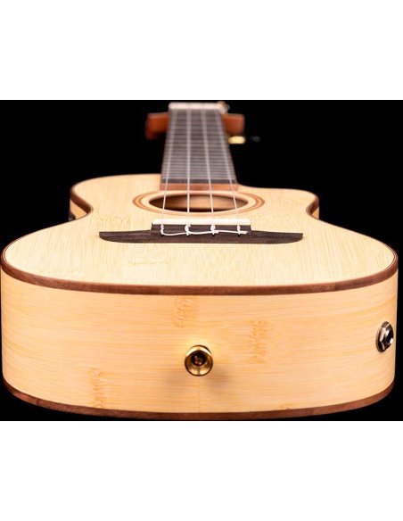 ORTEGA RUBO-CE