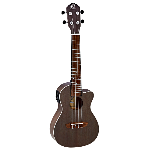 ORTEGA RUCOAL-CE