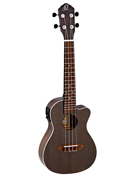ORTEGA RUCOAL-CE