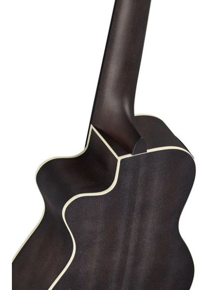 ORTEGA RUCOAL-CE
