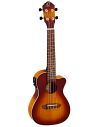 ORTEGA RUDAWN-CE