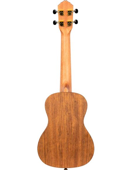ORTEGA RUTI-CC